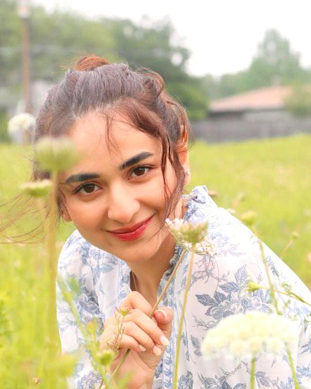 Pakistani Celebs image