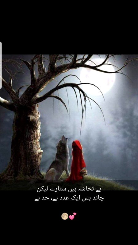 Sad Poetry image