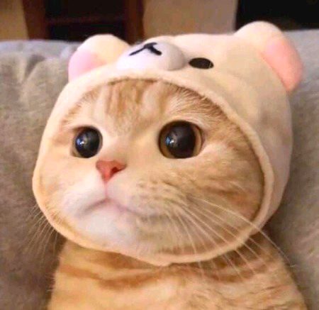 Beautiful Nature image