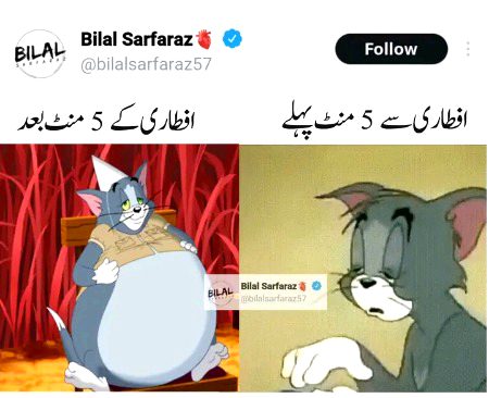 Memes & Satire image