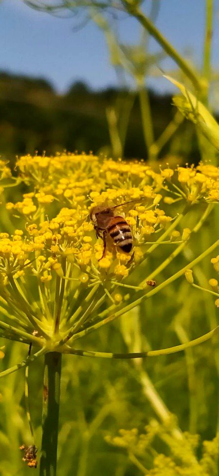 Beautiful Nature image