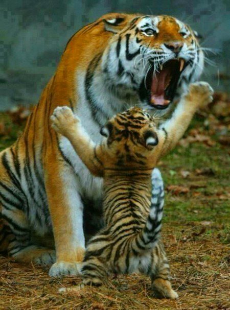 Beautiful Nature image