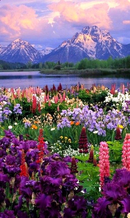 Beautiful Nature image