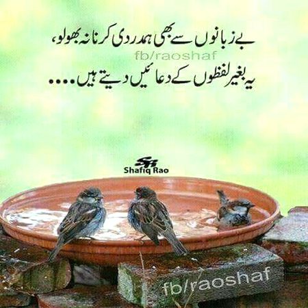 Social media post
