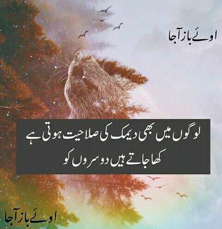 Social media post