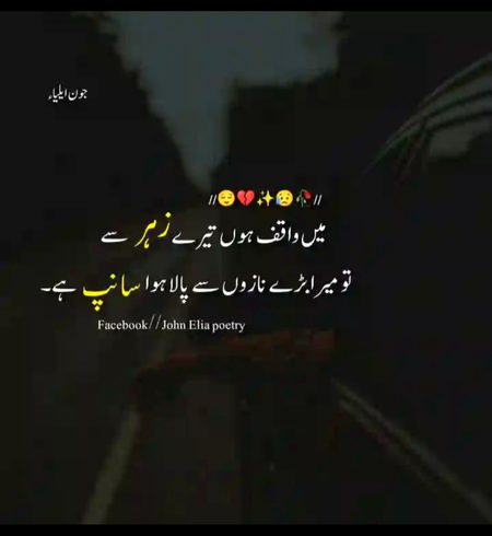 Sad Poetry image