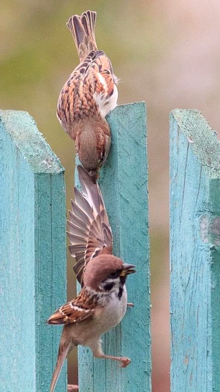 Beautiful Nature image