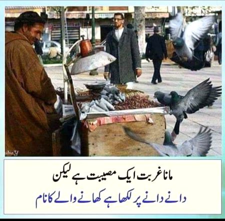 Motivational Quotes image