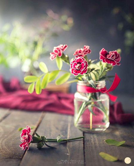Beautiful Nature image
