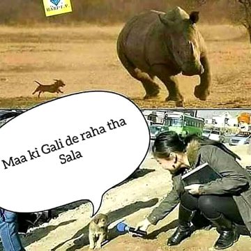 Memes & Satire image