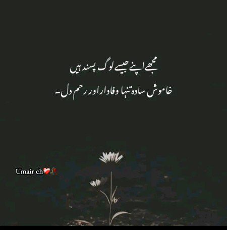 Attitude Poetry image