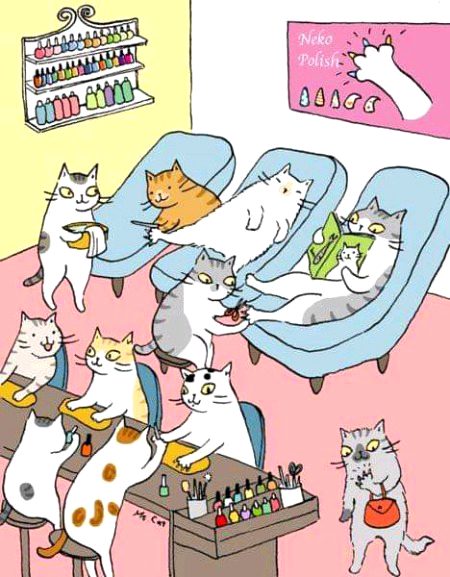 Memes & Satire image