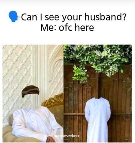 Memes & Satire image