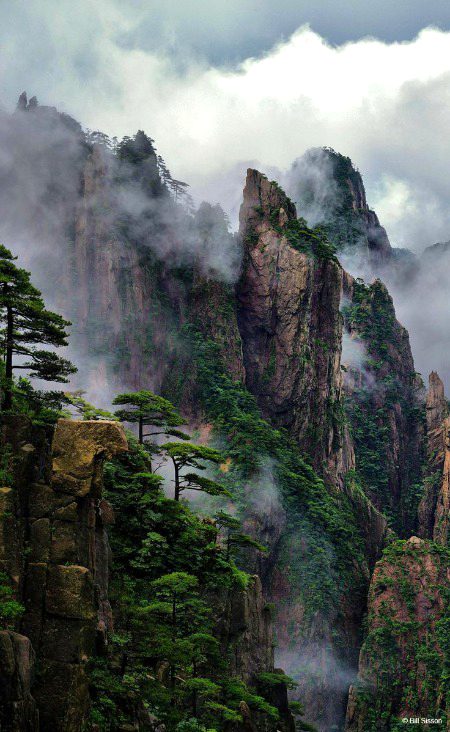 Beautiful Nature image