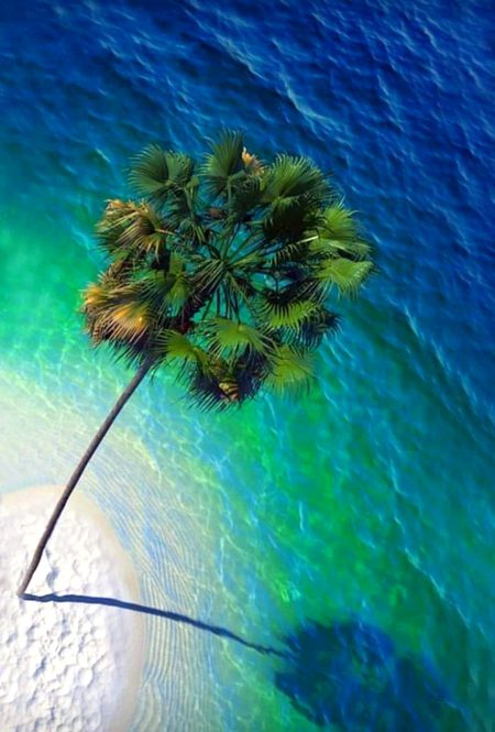 Beautiful Nature image