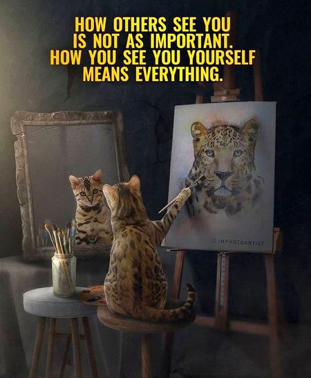 Motivational Quotes image