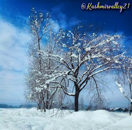 Beautiful Nature image