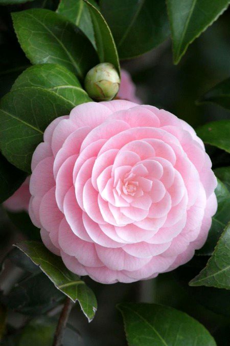 Beautiful Nature image