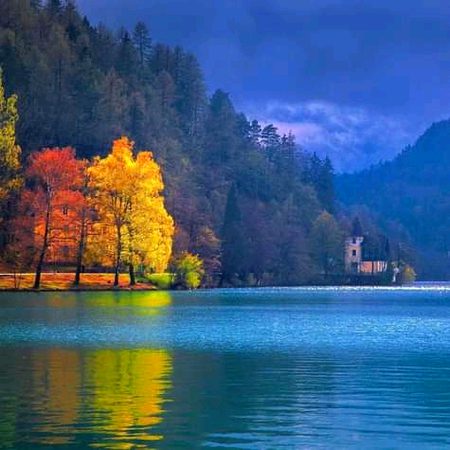 Beautiful Nature image