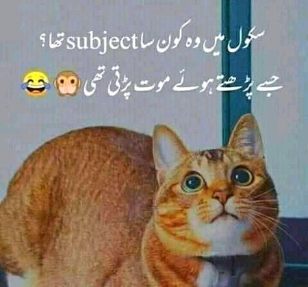 Social media post