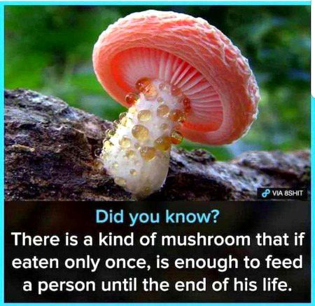 Interesting Posts image