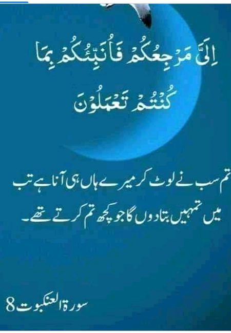 Islamic Quotes image