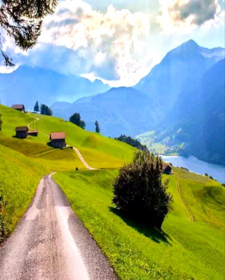 Beautiful Nature image
