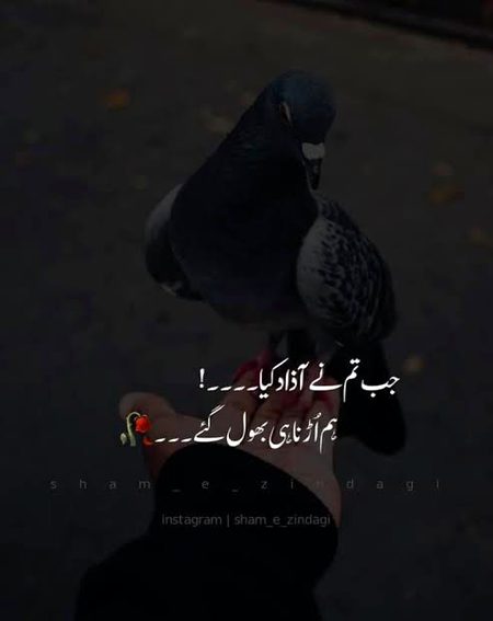 Sad Poetry image