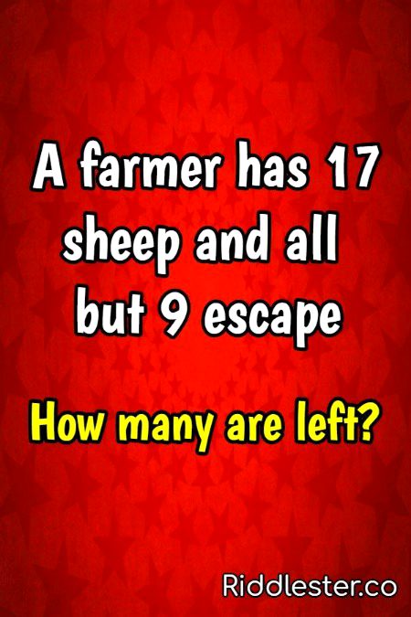 Riddles & Puzzles image