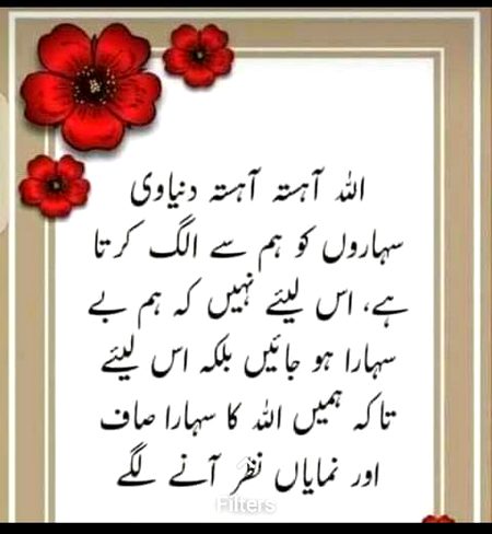 Islamic Quotes image