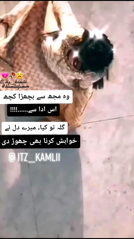 Social media post