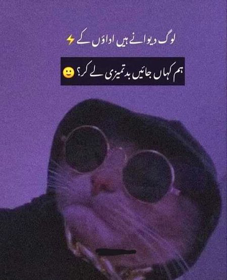 Attitude Poetry image