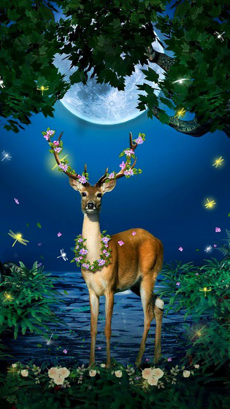 Beautiful Nature image