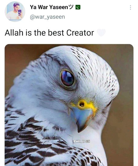 Beautiful Nature image