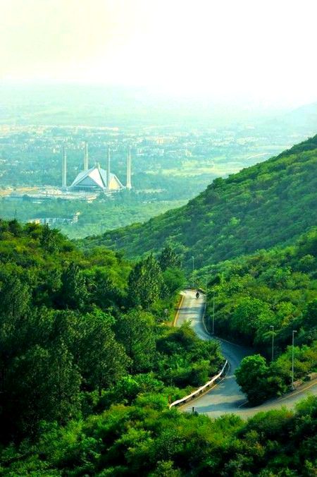 Beautiful Nature image