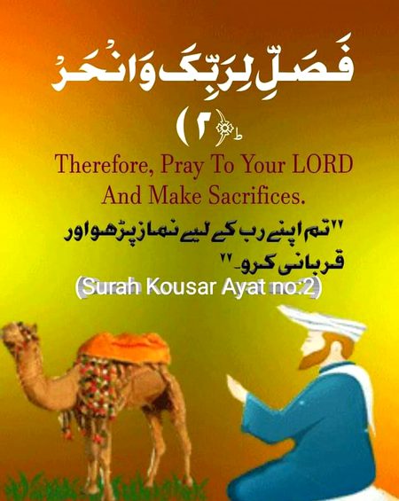 Islamic Quotes image