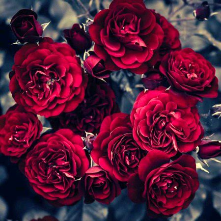 Beautiful Nature image