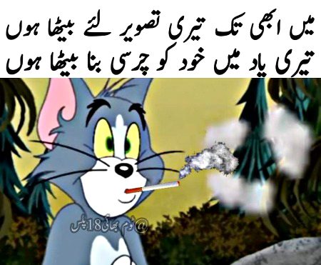 Memes & Satire image