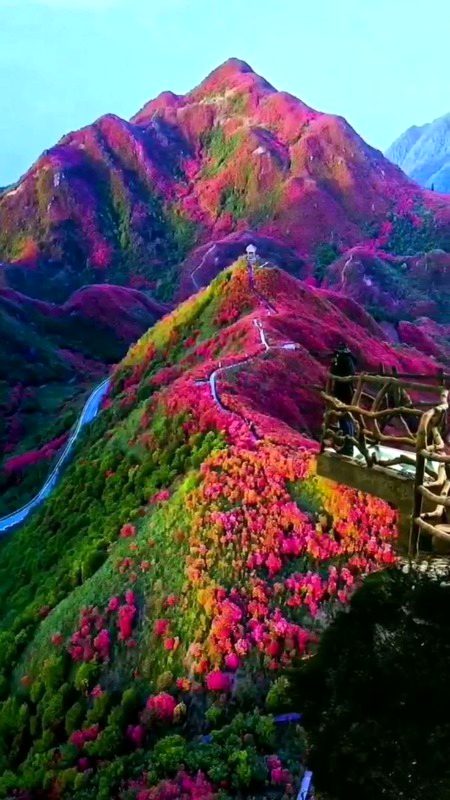 Beautiful Nature image