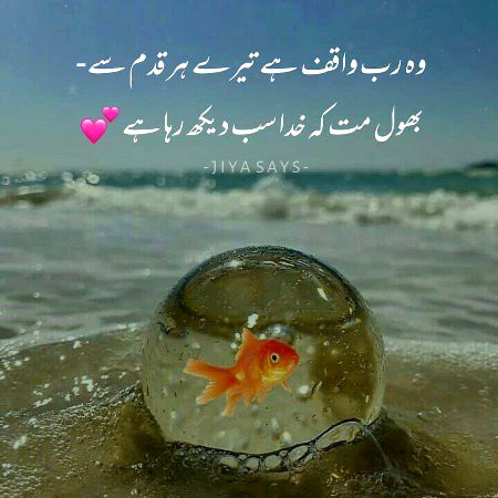 Islamic Quotes image
