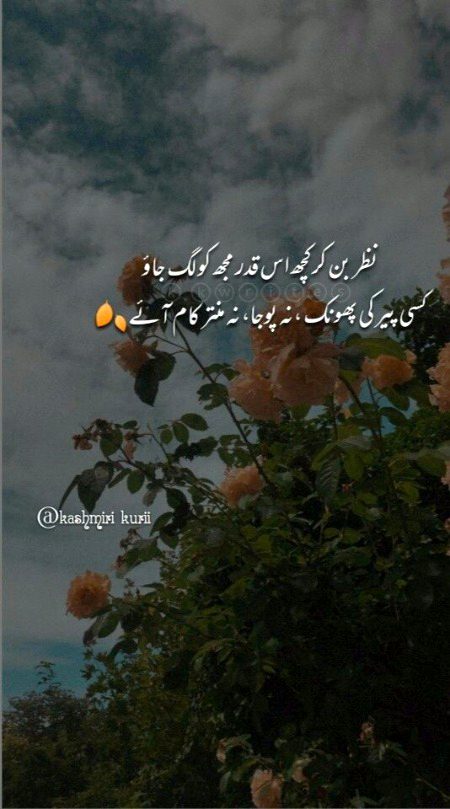 Romantic Poetry image