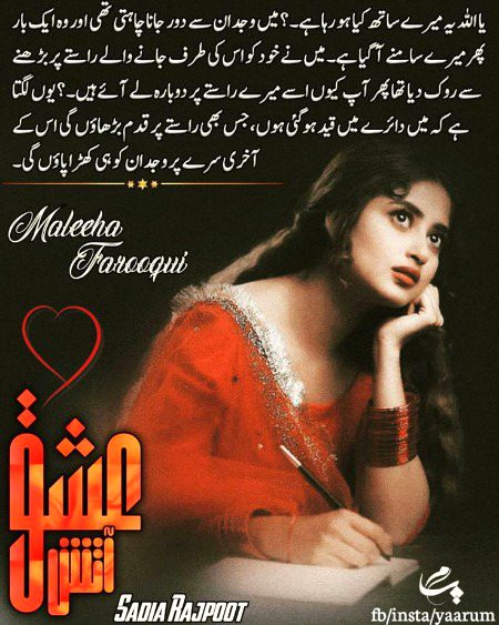 Romantic Novels image