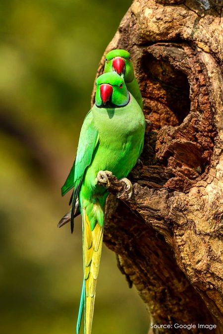 Beautiful Nature image