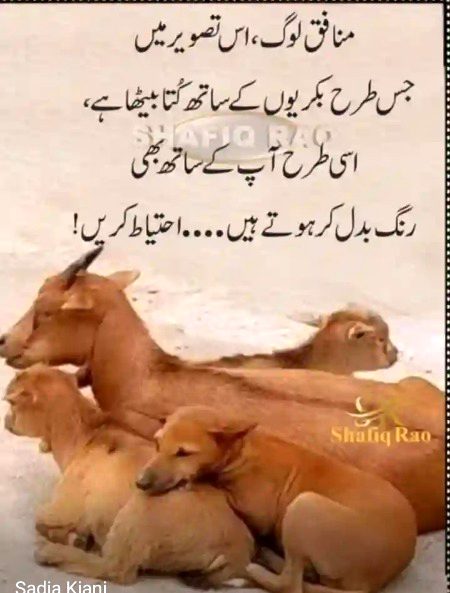Social media post