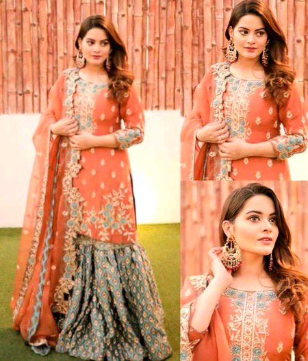 Pakistani Celebs image