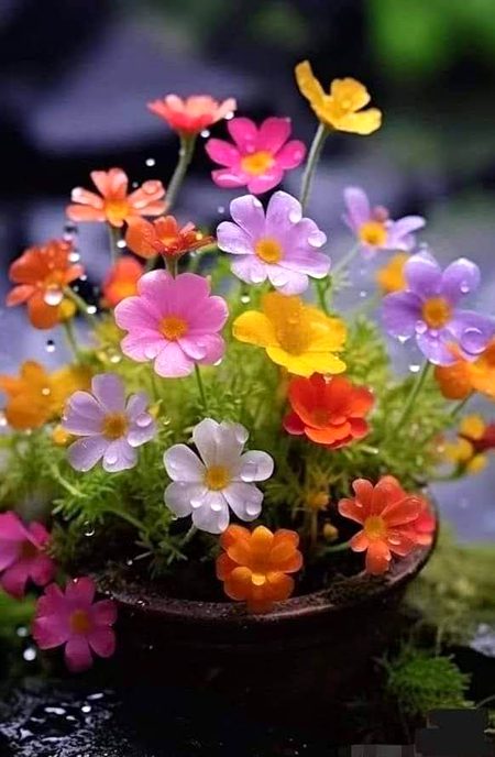 Beautiful Nature image