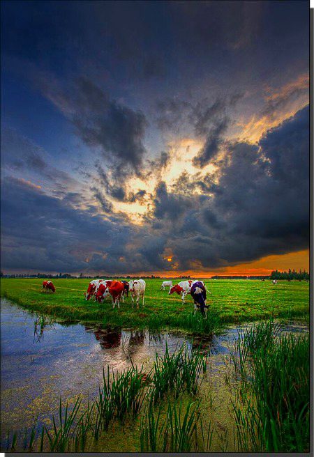 Beautiful Nature image