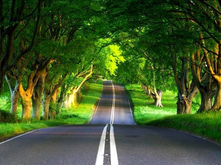 Beautiful Nature image