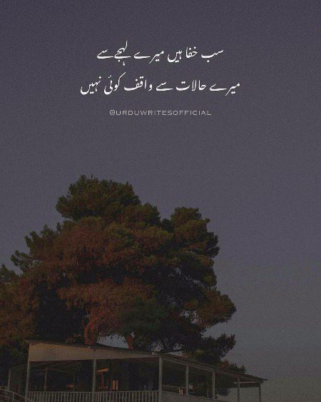 Sad Poetry image