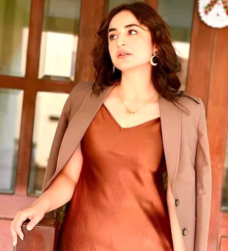 Pakistani Celebs image